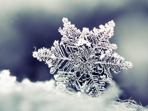 diaforetiko.gr : nature snowflakes 480x800 Τι λένε τα “μερομήνια” για τον φετινό χειμώνα!