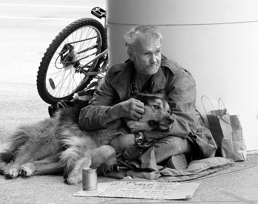 diaforetiko.gr : homeless dogs and owners 16 Φωτογραφίες που αποδεικνύουν πως τα σκυλιά σε αγαπούν όσο φτωχός κι αν είσαι