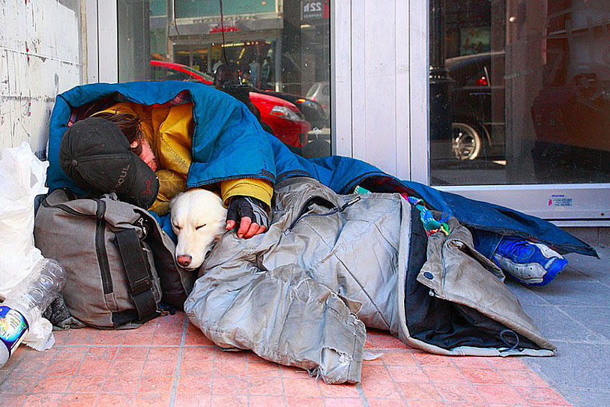 diaforetiko.gr : homeless dogs and owners 2 Φωτογραφίες που αποδεικνύουν πως τα σκυλιά σε αγαπούν όσο φτωχός κι αν είσαι
