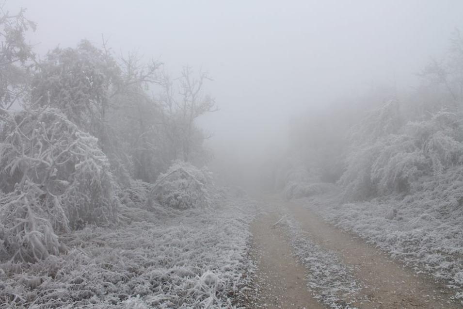 diaforetiko.gr : marco9 Χιονοθύελλα μετέτρεψε ολόκληρο δάσος σε... γλυπτό από πάγο! Παραμυθένιο τοπίο…