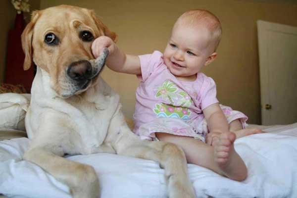 diaforetiko.gr : babydogy3 10 σημαντικοί λόγοι για να μεγαλώσει ένα παιδί με κατοικίδιο