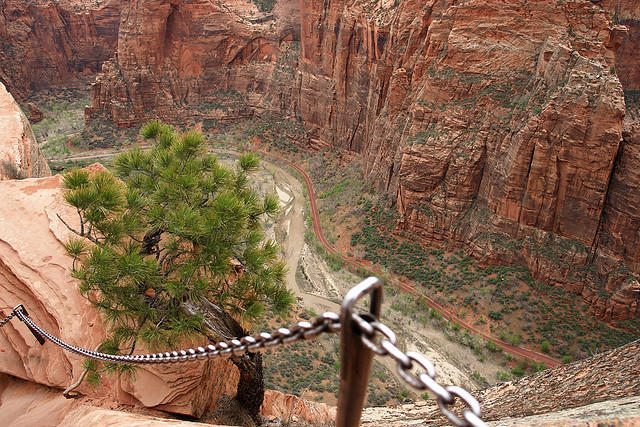 diaforetiko.gr : Zion National Park 19 Ο πιο επικίνδυνος δρόμος του πλανήτη, έχει την πιο εντυπωσιακή θέα 