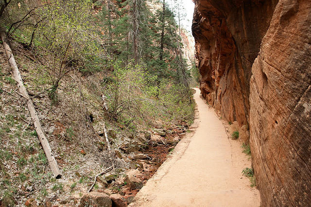 diaforetiko.gr : Zion National Park 2 Ο πιο επικίνδυνος δρόμος του πλανήτη, έχει την πιο εντυπωσιακή θέα 