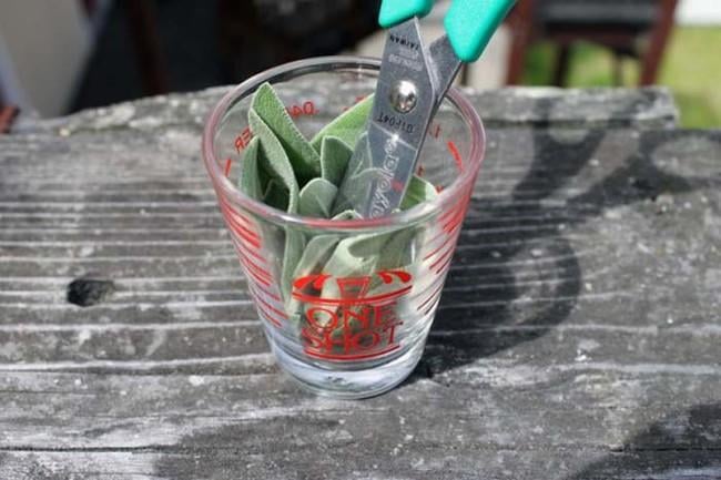 Cut herbs with scissors in a shot glass. Then toss them in your dish with ease. 