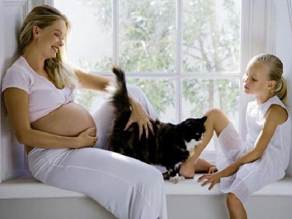 Εγκυμοσύνη και κατοικίδια! Οι αλήθειες και οι μύθοι για τους κινδύνους!