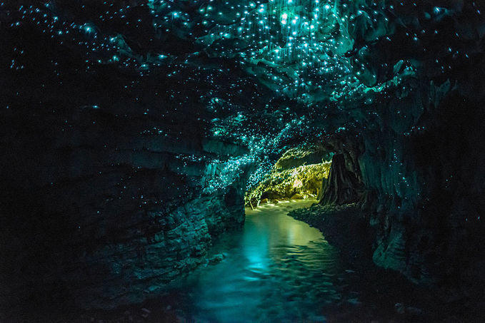 Waitomo Caves Glowworm το σπήλαιο με τον “έναστρο ουρανό”!!!