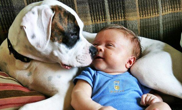 Τι κάνουν τα μωρά όταν στο σπίτι υπάρχουν σκυλάκια; Δείτε το βίντεο!