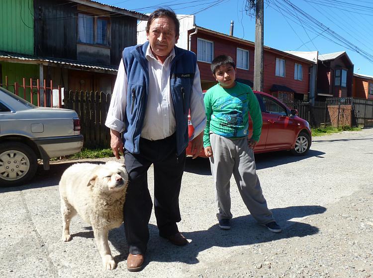 Puerto Montt: Δείτε το σκύλο που βοηθάει στο κουβάλημα των ξύλων! (βίντεο)