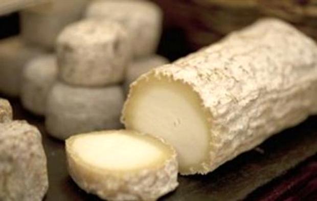 ΑΝΑΤΡΙΧΙΑΣΤΙΚΟ: Τυρί από ανθρώπινο γάλα και προνύμφες μύγας… Αυτά είναι τα πιο παράξενα είδη τυριού στον κόσμο!