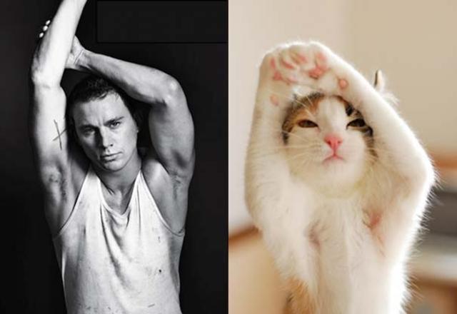 Άνδρες και γάτες φωτογραφίζονται στις ίδιες ξεκαρδιστικές πόζες!