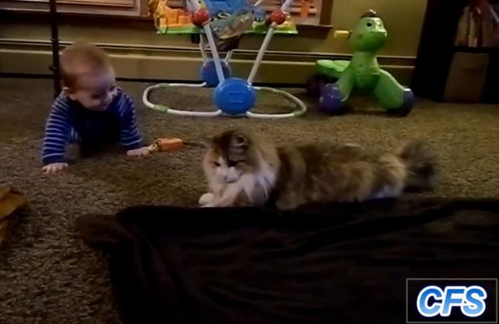 ΠΟΛΥ ΓΕΛΙΟ: χαριτωμένα μωράκια που παίζουν με τις γάτες τους!