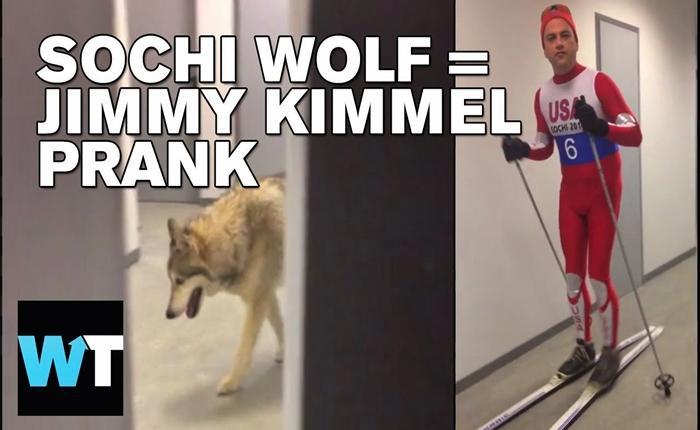 Ο Λύκος του Σότσι σε τηλεοπτικό στούντιο -Φάρσα το μεγαλύτερο viral της εβδομάδας (βίντεο)