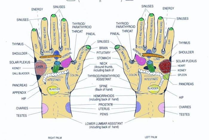 Ρεφλεξολογία: -Ποιες ασθένειες φαίνονται στα χέρια μας;