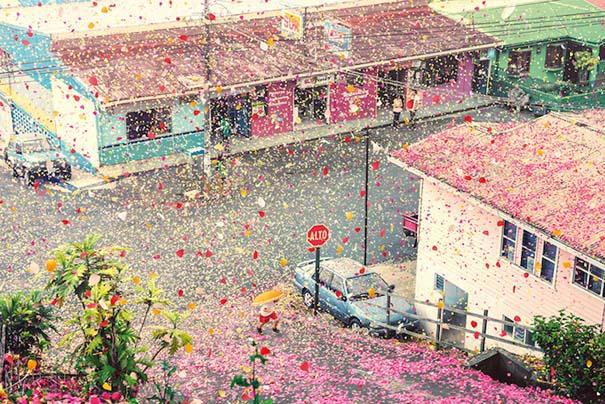 Χωριό στην Κόστα Ρίκα καλύφθηκε από 8 εκατομμύρια πέταλα λουλουδιών (βίντεο)