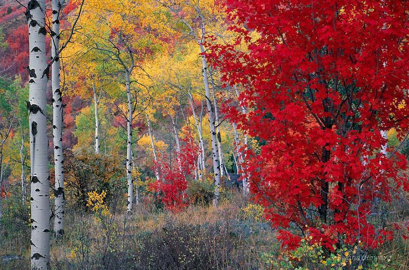 30 μαγευτικές Φθινοπωρινές εικόνες! Τα χρώματα της φύσης στην πιο όμορφη εκδοχή τους…