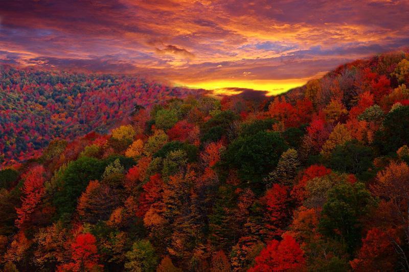 colorful-fall-photos-sunset