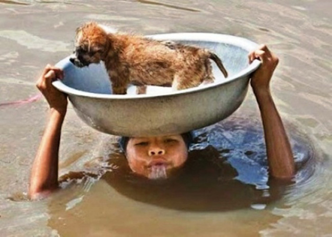 12.) This woman treaded flood waters while making sure her tiny puppy stayed safe.