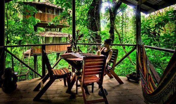 Ο παράδεισος επί γης: Δυο Αμερικάνοι θα σας φιλοξενήσουν σε ένα…”περιπετειώδες” χωριό στη μέση της ζούγκλας!