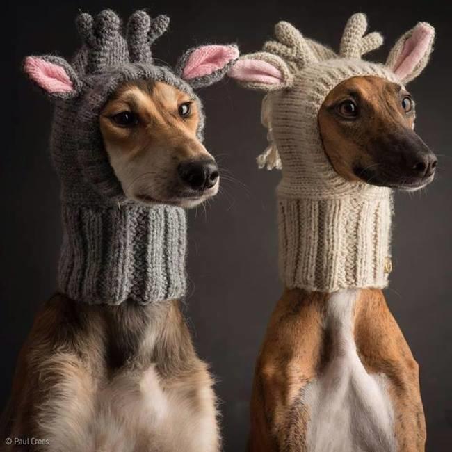 5.) "Don't tell Sally. She'll kill me if she found out we did matchies on the reindeer hood. She's been trying to get me to do a costume with her for YEARS."