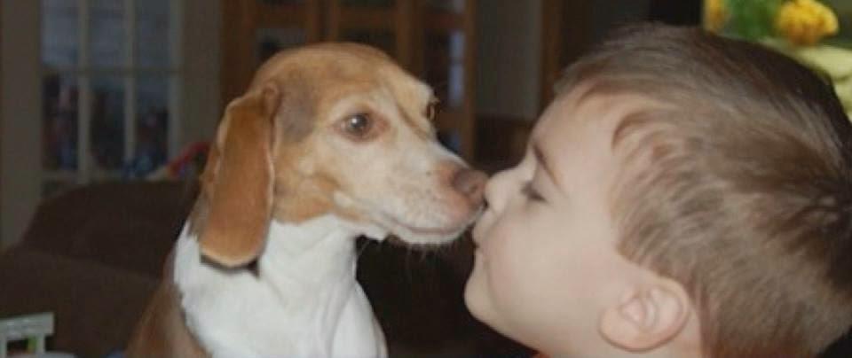 Δε σταμάτησαν ποτέ να εύχονται να βρουν τη σκυλίτσα τους. 6 χρόνια μετά, συνέβη το θαύμα!