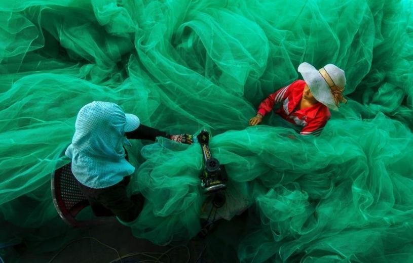 Μία γυναίκα μαζεύει νούφαρα στο Βιετνάμ