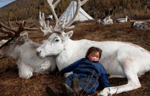 Μογγολία: Η καθημερινή ζωή των ανθρώπων που ζουν μαζί με ταράνδους που εκτρέφουν.