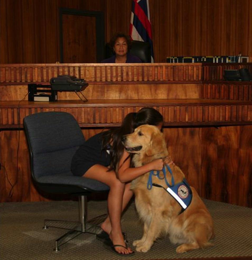 Courthouse dogs.