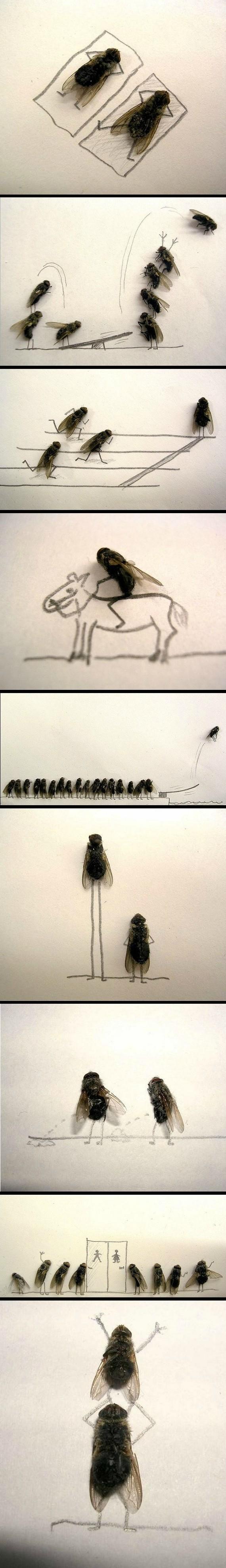 Reddit user <a href="http://www.reddit.com/r/funny/comments/1cm5rz/ever_been_this_bored/" target="_blank">SerialVandal</a> was pretty bored, so they used some dead bugs as inspiration for a morbid, but hilarious, art project.