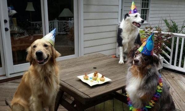 A totally awesome birthday party.