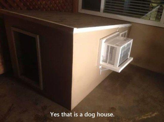 The dog house with amenities.