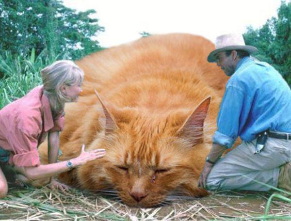 someone-replaced-all-of-the-dinosaurs-in-jurassic-park-with-cats-21-photos-1