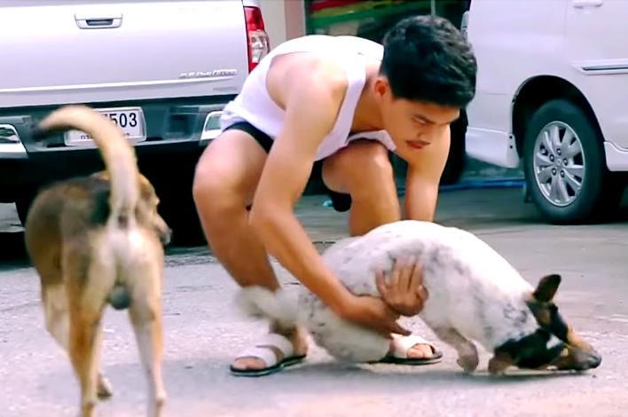 Περιφέρεται στους δρόμους μαζεύοντας αδέσποτα ζώα και στη συνέχεια κάνει αυτό… (βίντεο)