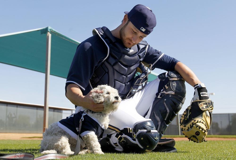 The Milwaukee Brewers adopted Hank, a stray dog they found roaming their practice field.
