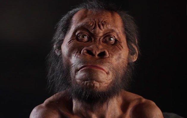 Ξεχάστε όσα γνωρίζατε για το ανθρώπινο είδος – Ο Homo Naledi είναι ο πρόγονός μας (φωτογραφίες – βίντεο)