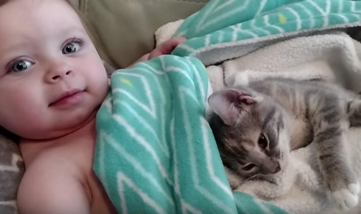 Τα ξυπνητούρια της μπέμπας και της γάτας! Από τα πιο γλυκά βίντεο που κυκλοφορούν