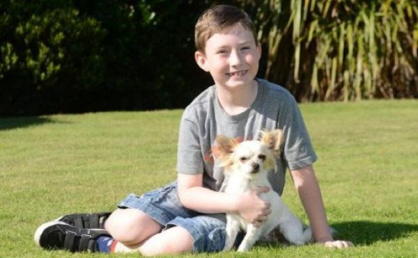 Tommy Jones from Southport, Merseyside, with his dog Bobo. See SWNS story SWCUTE: A disabled boy and his lame puppy are a real pair of superheroes Ã after they helped each other learn how to WALK. Doctors feared little Tommy Jones, eight, would never be able to walk, after a birth complications left him semi-paralysed. So when his parents Kerry and Mike Jones heard about a Chihuahua puppy who had a badly broken leg, they decided that nurturing the little pup Ã named Bobo Ã may help their son deal with his own infirmity. Tommy, who was five at the time, and Bobo soon became best of friends, and miraculously, within weeks of meeting, they both started walking.