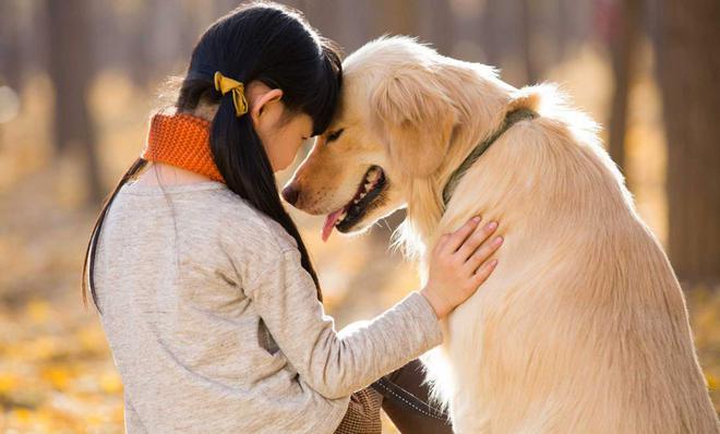 tilestwra.com | 18 φωτογραφίες που αποδεικνύουν ότι ο σκύλος είναι ο καλύτερος φίλος του ανθρώπου