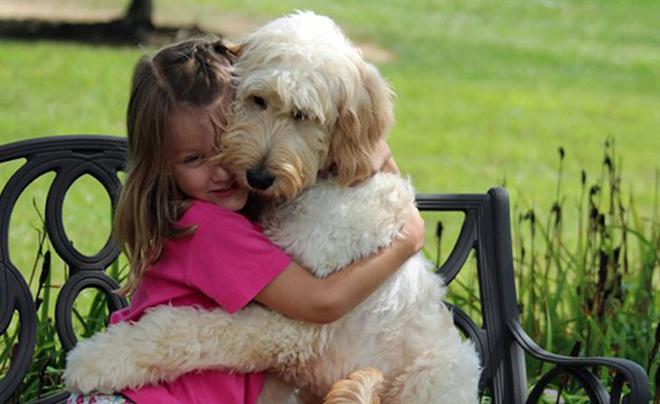 tilestwra.com | 18 φωτογραφίες που αποδεικνύουν ότι ο σκύλος είναι ο καλύτερος φίλος του ανθρώπου