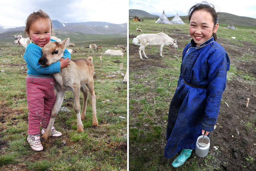 Reindeers provide the Tsaatan with milk and cheese to live on.