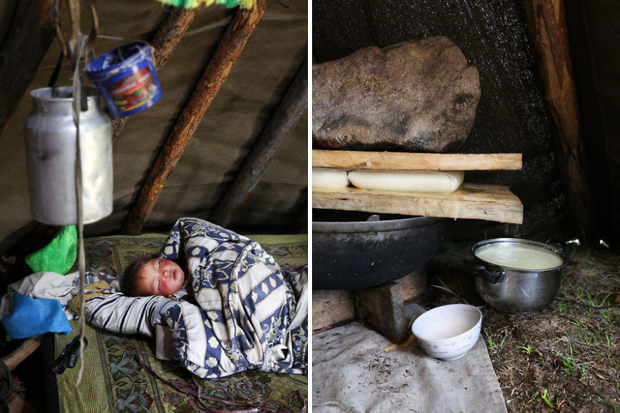 Inside of their modest dwellings, reindeer dung fuels their stoves.
