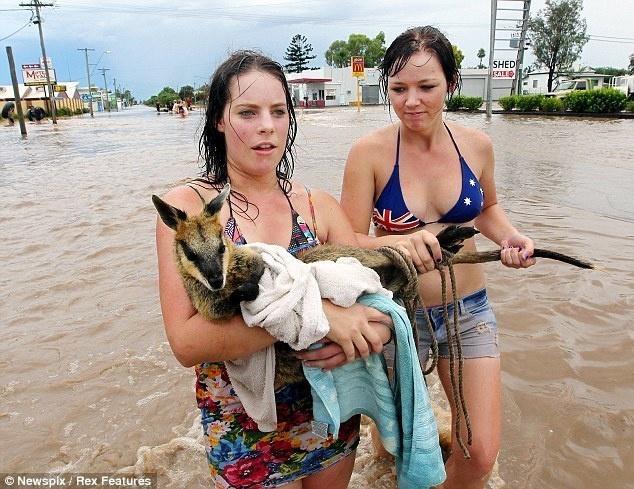 Ellisha Johnston and Sarah Gilbert, who rescued a wallaby that was about to be taken in a flood.