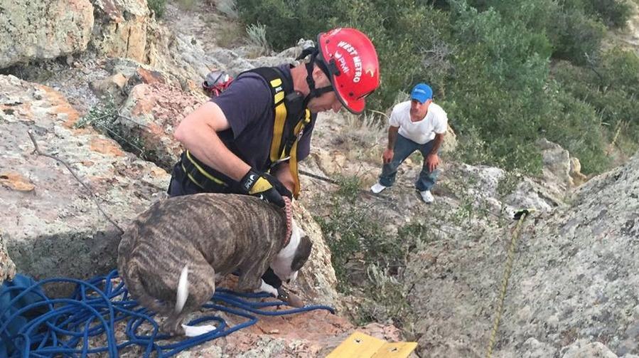 The people who rescued this dog, who fell 200 feet into a mine shaft.