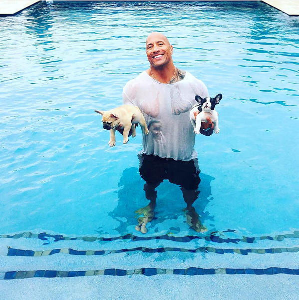 Dwayne "The Rock" Johnson, who saved his little dog from drowning over Labor Day weekend.