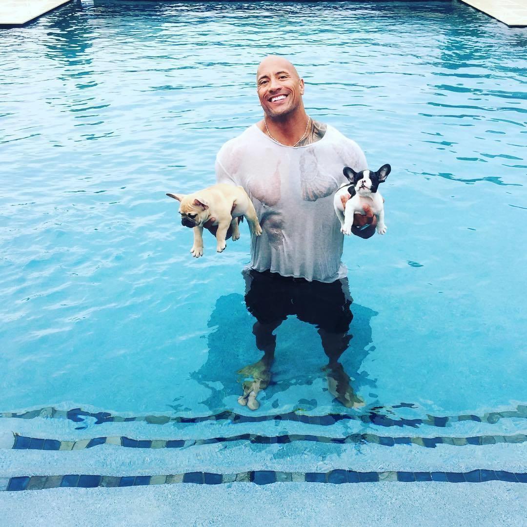 When The Rock saved his puppies from drowning.