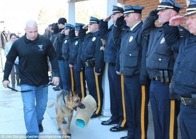 The police officers who gave a member of their K9 unit a final salute while he was on his way to be euthanized.