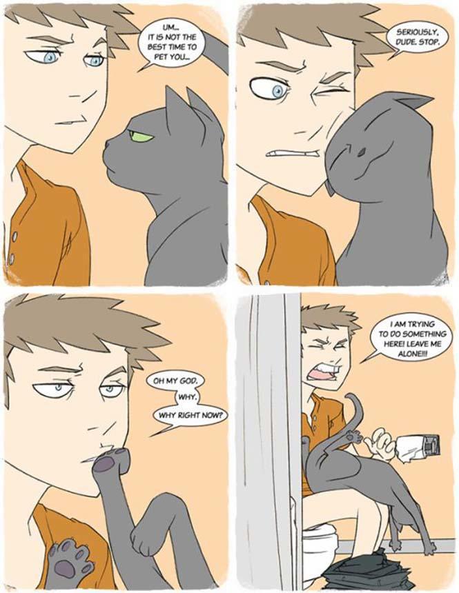 Χιουμοριστικά κόμικς δείχνουν πως είναι να έχεις γάτα (2)