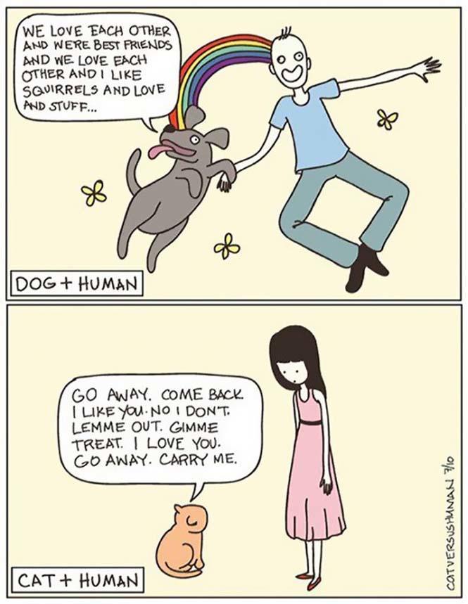 Χιουμοριστικά κόμικς δείχνουν πως είναι να έχεις γάτα (6)