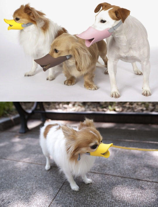 Oppo Dog Muzzle Quack 
