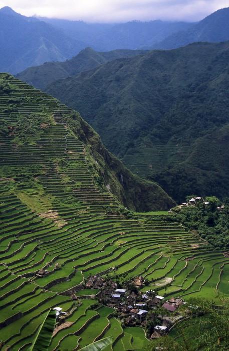 Φυτείες ρυζιού στα βουνά Cordilleras, Φιλιππίνες