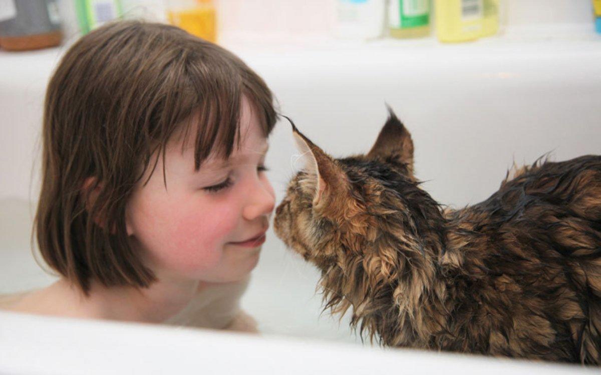 Η φιλία της 5χρονης αυτιστικής με την γάτα της θα σας ραγίσει την καρδιά